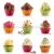 MUFFIN CUP CAKE SILICONE MOULD 6PC MUFFIN CAKE SILICONE MOULD