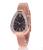 Meige mei two rows of diamond-encrusted snake head dial lady watch Rome scale fine belt mei gold mesh with watch woman