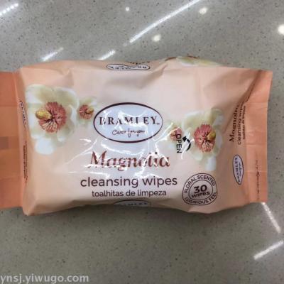 Manufacturers direct 30 pieces of multi-functional cleaning wipes