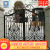European-style railing courtyard door garden villa country door double door outdoor anti-theft door customized