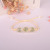 Lady natural and dry flower bracelet plant glass ball snow bead flower bud bud bud is acted the role of article of true flower hand is acted the role of