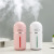 New lucky cup humidifier New mini humidifier spray hydration car the -quiet usb humidifier