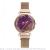 New swan crystal face lady creative magnet clasp ins watch