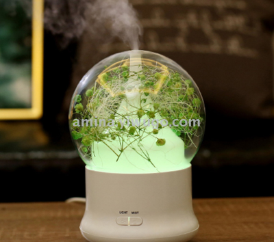 Creative eternal flower humidifier aromatherapy machine ultrasonic aromatherapy home