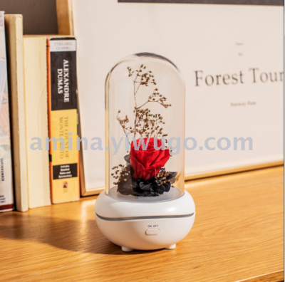 Home office eternal flower scented lamp