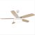 Modern Ceiling Fan Unique Fans with Lights Remote Control Light Blade Smart Industrial Kitchen Led Cool Cheap Room 6