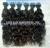  human hair loose curly hair Brazilian  Peruvian  Indian and Chinese hair  