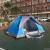 Caifenghuang Factory Direct Sales Outdoor 3-4 People Automatic Easy-to-Put-up Tent Fake Double Layer Camping Camping Tent Wholesale