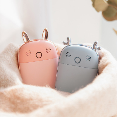 Creative new music pet warm hand bao charming-proof mobile power supply warm hand bao charging dual-purpose USB recording large capacity