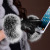 leather gloves for ladies winter super large fox fur mouth plus velvet thickened warm touch screen fur mouth gloves