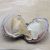 Wholesale vacuum packed natural freshwater triangular oysters with 7-8mm #10 color pearls
