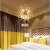 Nordic Simple Living Room Lamps Personalized Creative Spherical Crystal Post-Modern Bedroom Dining Room Led Dandelion Chandelier