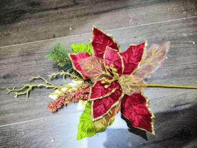 Christmas flower