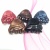The new conch type small claw clip environmental protection material is not easy to break popular hair clip headpiece
