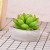 Factory Wholesale New Cute Artificial Succulent Pant Candles Hot Selling Smoke-Free Creative Artistic Taper and Candle Boxed