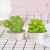 Factory Wholesale Artificial Succulent Pant Candle Flower Home Birthday Scene Decoration Small Tea Candle