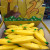 [factory cargo tong] factory direct sales burst squeeze banana vent banana funny spoof relief toy 12/ box