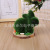 New Christmas Easter Toy Flocking Doll Micro Landscape Garden Decoration Moss Rabbit Simulation Pot Decoration