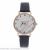 New thin band swan digital face simple watch for ladies