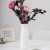 European-style imitation plastic vase creative simple transparent hydroponic plant dried flowers living room flower table arrangement