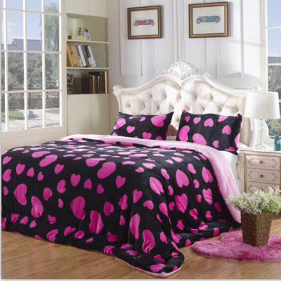 6-Year Blanket Factory Wholesale Customized High Quality Printed Lambswool Blanket Flannel Thickened Composite Duvet Mattress