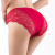 Sexy lace lady cotton underwear e-commerce Europe the United States Switzerland hot  selling women's bra set underwear