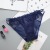 Underwear.Factory outlet sexy lace lady's brief  low-waisted  fantasy panty 
