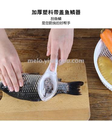 Scale Machine with Lid, Kitchen Scale Planer, Manual Scale Removal Tool