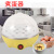 Manufacturer direct selling single convenient small egg boiling machine boiling egg machine foreign trade single direct selling classic products