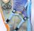 Cross border pet supplies cat traction rope heart-shaped cartoon cat chain rope kitten chest strap custom cat traction rope