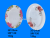 Melamine tableware Melamine oval plate sausage plate fish plate large spot stock