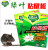 Green leaf edge leaf qiangshun green live Fly Trap Mosquito trap disposable fly traps  Fly Catching Glue Trap
