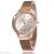 Hot style fashionable diamond lady mesh belt quartz watch ultra-thin leisure water drill scale waterproof magnet watch