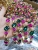 Elegant Headdress Hair Accessories Hair Hoop Internet Celebrity All-Match Hair Accessories Korean Headdress Fashion Crystal Headband Accessories