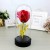 Creative plastic imitation flower gift exquisite immortal flower rose placement