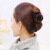 Korean Hair Accessories Grip Updo Hair Claw Grip Vertical Clip Resin Drop-Resistant Barrettes Claw Clip Stall