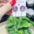 2019 New Crystal round Fashion Brooch Chain Tassel Corsage Businese Suit Accessories Women's Clothing Decorative Button Double Collar Pin