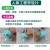 Adult posture pen grip orthotic junior middle school students protective cover senior high school students enlightenment positioning pen