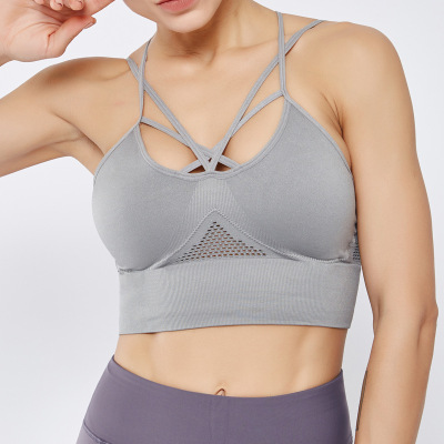 The new 2019 seamless sports bra comes with a lace back, jacquard and holhold-out sports bra