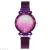 Hot style casual fashion gradient magnet buckle net with ladies watches simple diamond Roman scale watches