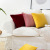 Nordic pillow square cushion sofa cushion living room cushion back cushion velvet pillowcase wholesale