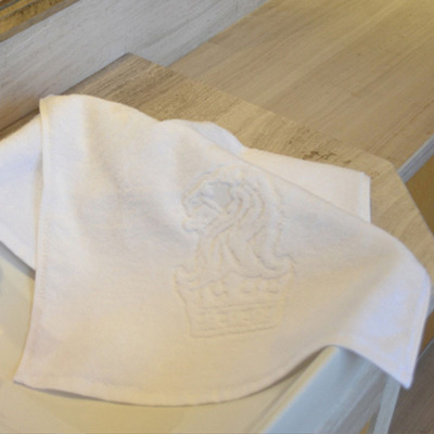 Bulk wholesale jacquard logo luxury hotel 32s 100% cotton terry bath towels 
