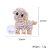 Amazon sells Korean version of affordable alloy puppy water diamond brooch pin as a hair replacement