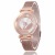 Set diamond swan magnet watch female crystal ball magnet lady watch foreign trade hot style net red stone quartz table