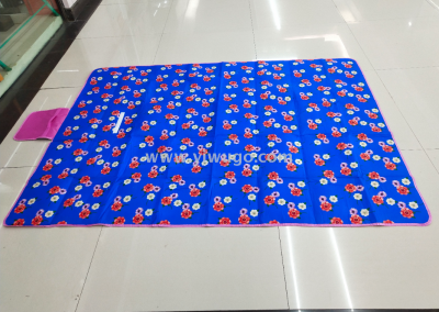 Winter style cloth outdoor damp mat picnic mat 4 colors