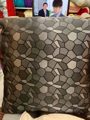 There is a Water cube pillow