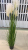 Simulation reeds potted dog tail grass bonsai flowers plant decoration