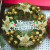 Christmas wreaths Christmas Decorating Decorated Christmas Wreaths Decorated Christmas Tree Decorations Decorated 