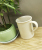 Creative household daily necessities - mai xiang cup \\\"meilong yu.SKzaa shang ke\\\" manufacturers direct sales