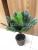 Yiwu 18 iron leaves small palm leaf bundle simulation plant wall accessories